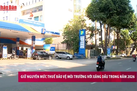 [Video] Giữ nguyên mức thuế bảo vệ môi trường với xăng dầu trong năm 2026 