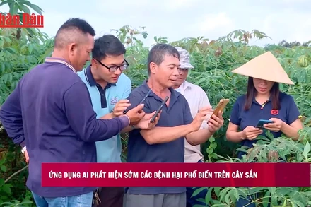 [Video] Ứng dụng AI phát hiện sớm các bệnh hại phổ biến trên cây sắn
