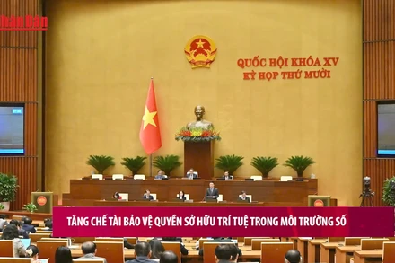 [Video] Tăng chế tài bảo vệ quyền sở hữu trí tuệ trong môi trường số 