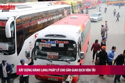 [Video] Xây dựng hành lang pháp lý cho sàn giao dịch vận tải