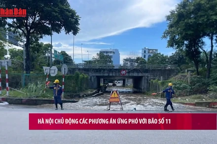 [Video] Hà Nội chủ động các phương án ứng phó với bão số 11 
