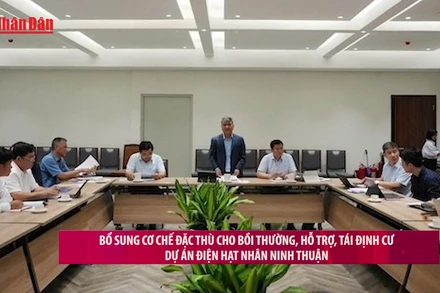 [Video] Bổ sung cơ chế đặc thù cho bồi thường, hỗ trợ, tái định cư dự án điện hạt nhân Ninh Thuận