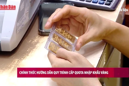 [Video] Chính thức hướng dẫn quy trình cấp quota nhập khẩu vàng 