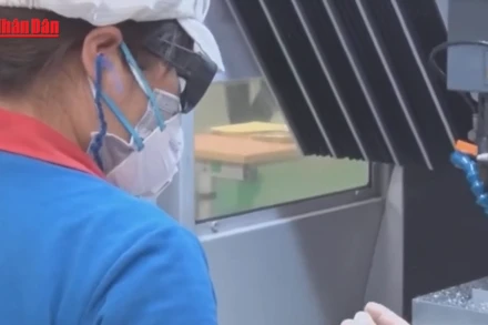 [Video] Quy định mới về quản lý lao động nước ngoài tại Việt Nam 