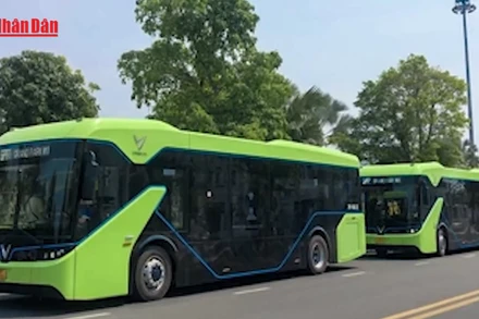 [Video] Thành phố Hồ Chí Minh: Đề xuất kiểm soát khí thải phương tiện theo vùng 