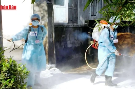 [Video] Bộ Y tế yêu cầu các địa phương tăng cường công tác phòng, chống bệnh liên cầu lợn sang người