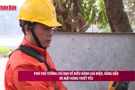 [Video] Phó Thủ tướng chỉ đạo về điều hành giá điện, xăng dầu và mặt hàng thiết yếu 