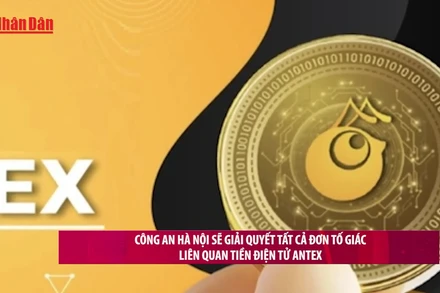 [Video] Công an Hà Nội sẽ giải quyết tất cả đơn tố giác liên quan tiền điện tử AntEx