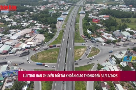 [Video] Lùi thời hạn chuyển đổi tài khoản giao thông đến 31/12/2025