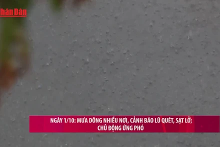 [Video] Ngày 1/10: Mưa dông nhiều nơi, cảnh báo lũ quét, sạt lở; chủ động ứng phó