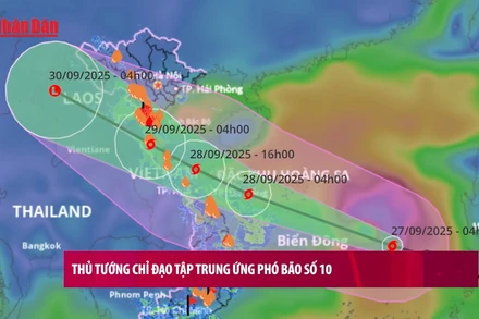 [Video] Thủ tướng chỉ đạo tập trung ứng phó bão số 10
