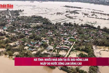 [Video] Hà Tĩnh: Nhiều nhà dân tại ốc đảo Hồng Lam ngập do nước sông Lam dâng cao 