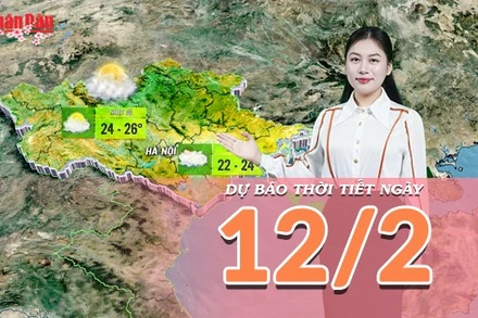 [Video] Dự báo thời tiết đêm nay và ngày mai 12/2/2026: Không khí lạnh suy yếu, nắng xuất hiện trên cả nước