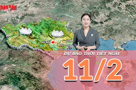 [Video] Dự báo thời tiết ngày 11/2/2026: Cả nước nhiều mây, đề phòng mưa trái mùa và biển động