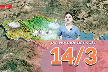 [Video] Dự báo thời tiết ngày 14/3/2026: Không khí ẩm bao phủ Bắc Bộ, Trung Bộ duy trì trạng thái mưa lạnh