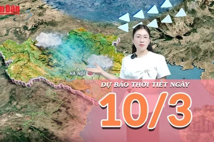 [Video] Dự báo thời tiết ngày 10/3/2026: Cảnh báo mưa to tại Trung Bộ và biển động mạnh