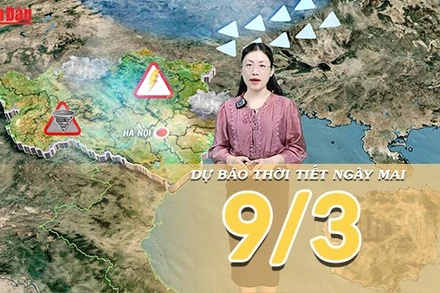 [Video] Dự báo thời tiết đêm nay và ngày mai 9/3/2026: Không khí lạnh gây mưa diện rộng ở Bắc Bộ, Nam Bộ nắng ráo