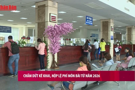 [Video] Chấm dứt kê khai, nộp lệ phí môn bài từ năm 2026