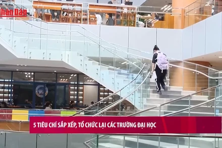[Video] 5 tiêu chí sắp xếp, tổ chức lại các trường đại học