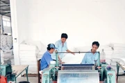 Sản xuất bao bì nhựa tại cơ sở sản xuất bao bì Hoàng Vân (quận Tân Bình).
