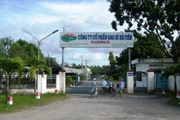 (Ảnh minh họa)