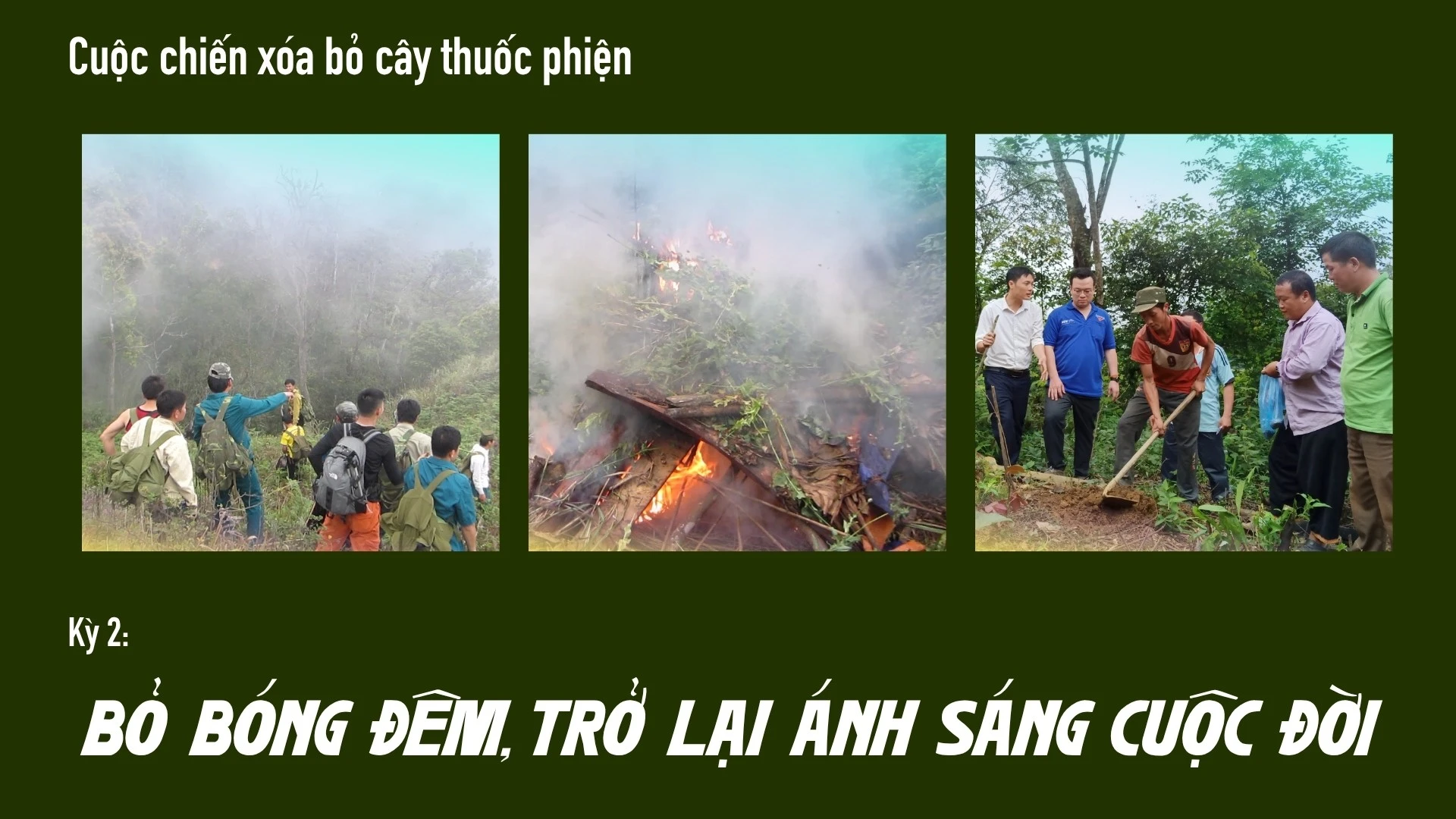 Cuộc chiến xóa bỏ cây thuốc phiện ở vùng cao Tây Bắc: Hành trình thay đổi tư duy và tập quán