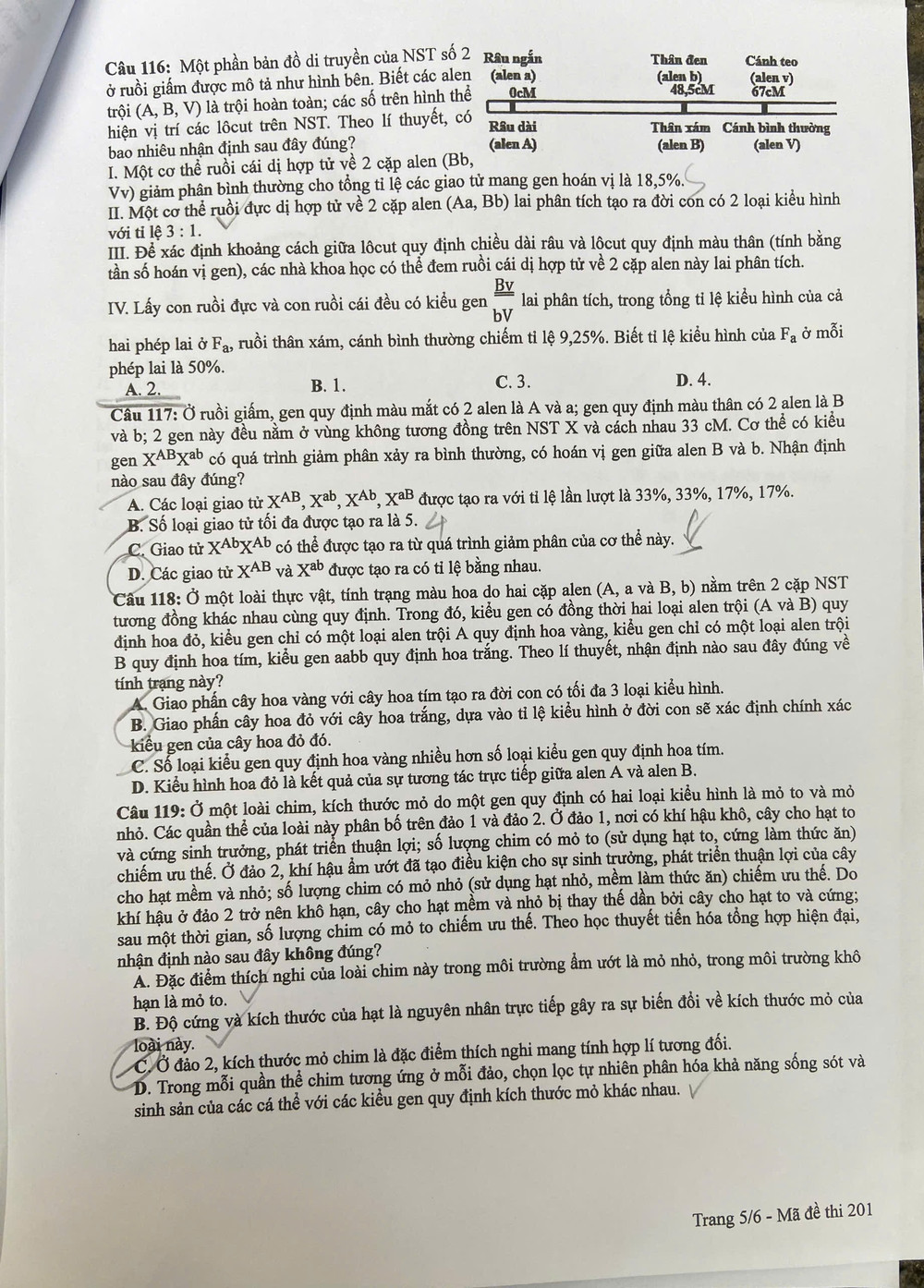 z6748654199333-e59c1beb9479786f740f7182a6a6bbea.jpg