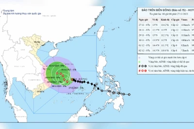 [Video] Cảnh báo diễn biến Bão số 15