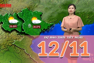 [Video] Dự báo thời tiết ngày 12/11/2025: Miền Bắc chuyển tạnh ráo 