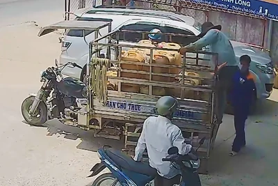 [Video] Cảnh báo nguy cơ cháy, nổ do tích trữ xăng, dầu trong nhà