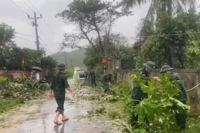 [Video] Khắc phục hậu quả bão số 10: Không để người dân không có chỗ ở