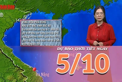 [Video] Dự báo thời tiết ngày 5/10/2025: Bão số 11 áp sát Vịnh Bắc Bộ