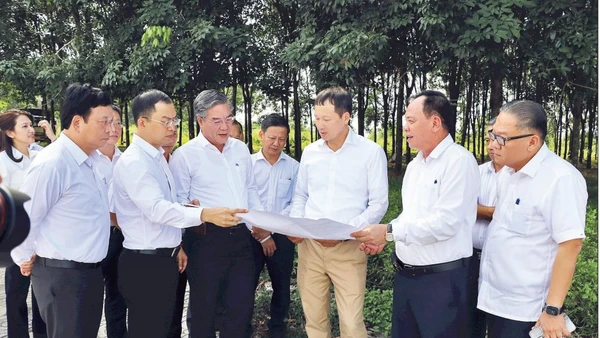Lãnh đạo tỉnh Đồng Nai khảo sát khu vực quy hoạch đô thị sân bay tại xã Long Thành.