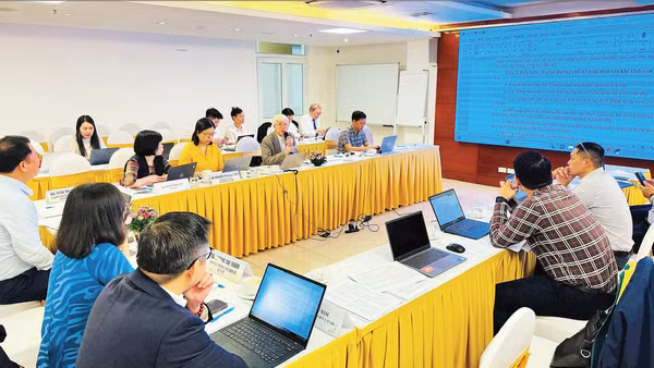 Buổi thảo luận về dự thảo Nghị định thi hành Luật Dân số của chuyên gia Bộ Y tế.