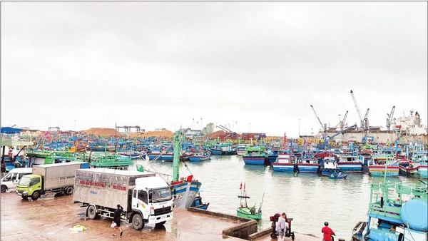 Cảng cá Quy Nhơn nhìn từ trên cao. (Ảnh HOÀNG QUÂN)