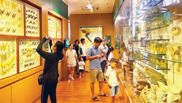 Khách tham quan Bảo tàng Thiên nhiên Việt Nam (Hà Nội).