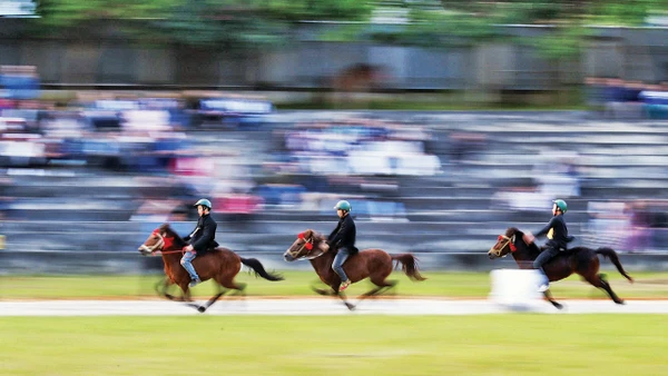 Rộn vó ngựa trong sắc xuân Bắc Hà