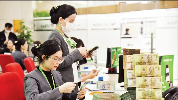 Các ngân hàng thương mại hiện là nguồn cung vốn lớn nhất, chiếm khoảng 88% tổng dư nợ tín dụng xanh.