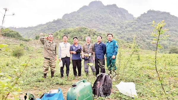 Nhóm tác giả khảo sát thực địa về các loài sinh vật hoang dã có nguy cơ bị đe dọa tuyệt chủng. (Ảnh QUANG TRƯỜNG)