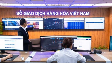 MXV - tổng kết thị phần môi giới quý II năm 2025.