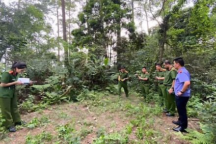 Khám nghiệm hiện trường vụ việc.