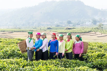 Những người phụ nữ mạnh dạn làm chủ tương lai của mình.