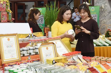 Kiểm tra xuất xứ nguồn gốc của sản phẩm tại hội chợ hàng OCOP Hải Phòng. (Ảnh KHÁNH AN)