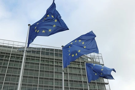 EU mong muốn tăng cường hợp tác với châu Phi trong nhiều lĩnh vực. (Ảnh: THX/TTXVN)