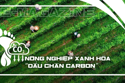 Nông nghiệp xanh hóa “dấu chân carbon”