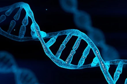 Ảnh minh họa. (Nguồn: TTXVN)