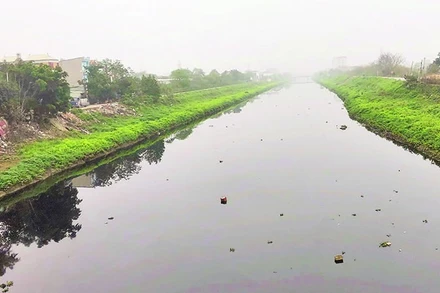 Nước sông Nhuệ đoạn chảy qua huyện Thường Tín (Hà Nội) bị ô nhiễm.