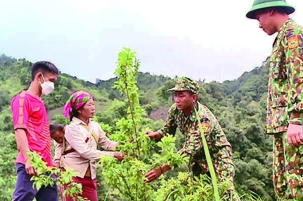 Cán bộ Biên phòng Đồn Pa Ủ (tỉnh Lai Châu) hướng dẫn người dân trồng cây ăn quả trên đất dốc.