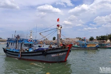 Tàu cá từ 15m trở lên phải có hệ thống giám sát hành trình hoạt động ổn định trước khi xuất bến.