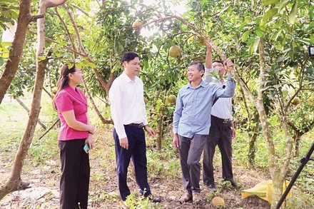 Mô hình vay vốn sản xuất giỏi ở xã Ba Bể, tỉnh Thái Nguyên.